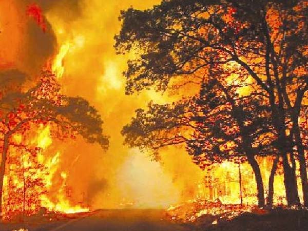 四川大凉山火灾